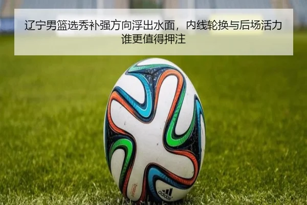 辽宁男篮选秀补强方向浮出水面，内线轮换与后场活力谁更值得押注